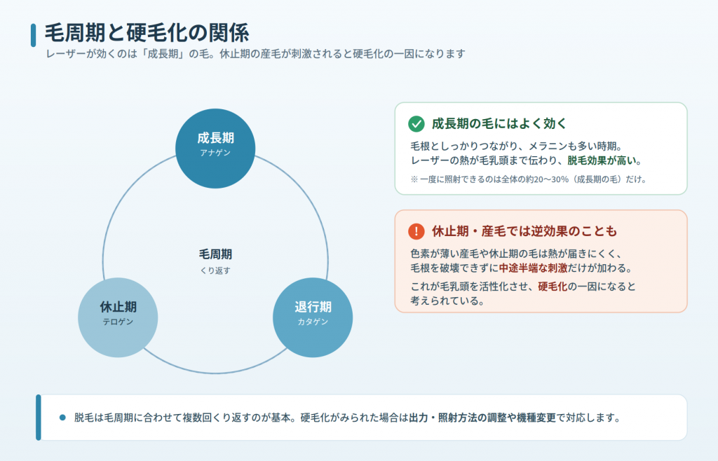fig3_cycle